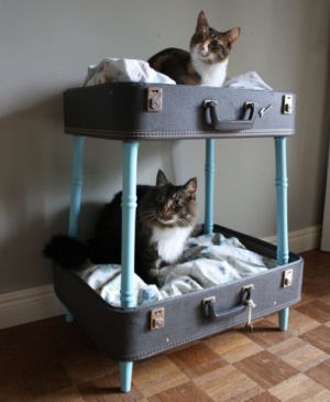 macskaágy bőröndből