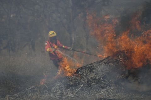 brazil erdőtűz