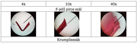krumpliszsák-maradvány