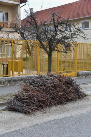 Megkezdődött a 2023. évi kerti zöldhulladék-begyűjtés Budapesten