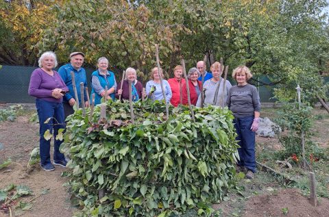 kertbarátok budaörs