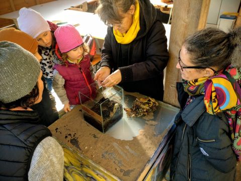 színeskert giliszta