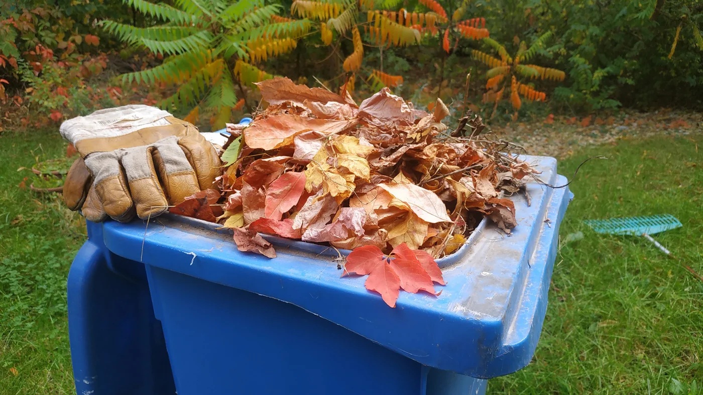 Kukába gyűrt őszi lombok, bezsákolt élővilág