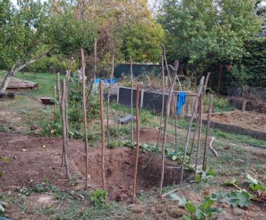 budaörsi kertbarátok előtte