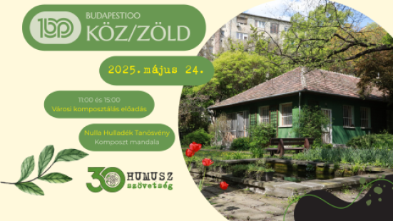 köz zöld humusz