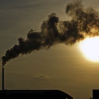 Kukából a magasba: hulladékalapú üzemanyag forradalmasíthatja a repülést